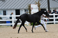 HSM_6479