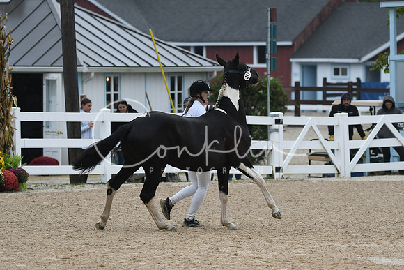 HSM_6659