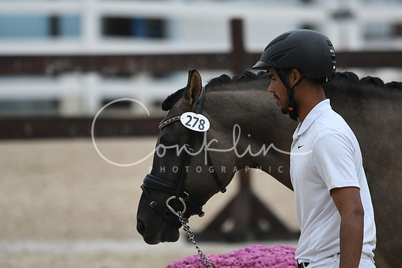 HSM_6491