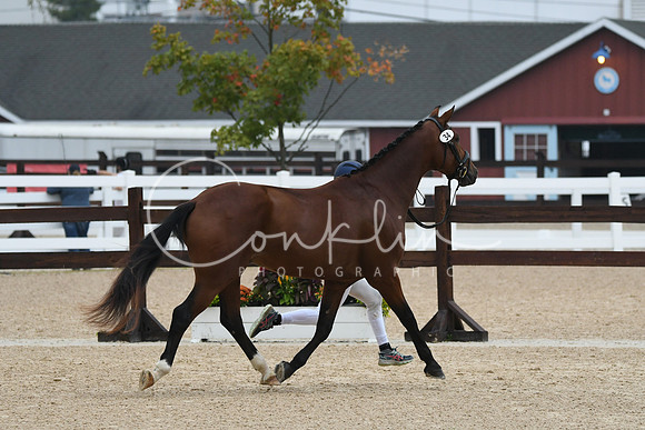 HSM_6517