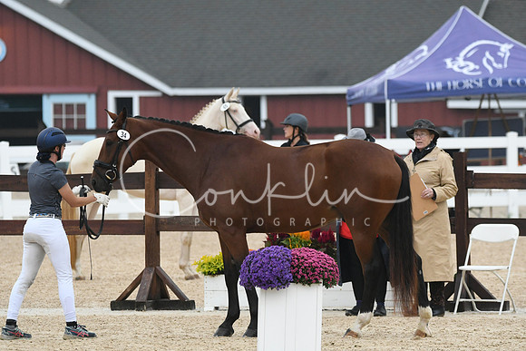 HSM_6518