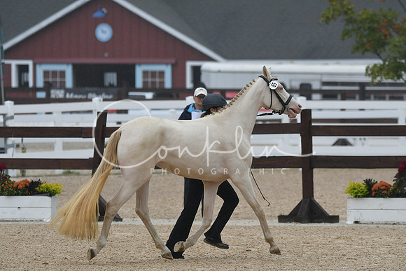 HSM_6530