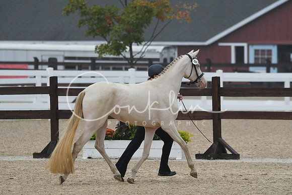 HSM_6531