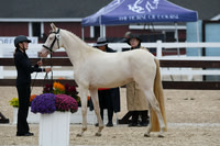 HSM_6524