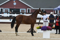 HSM_6538
