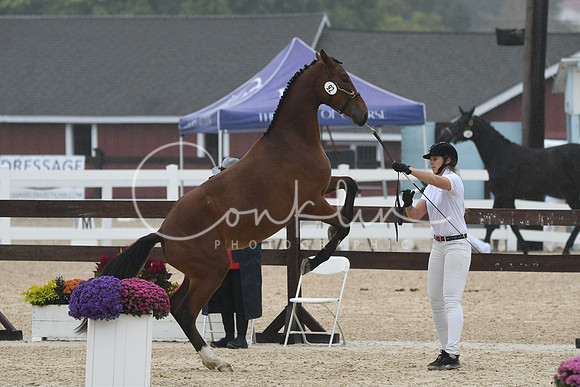 HSM_6544