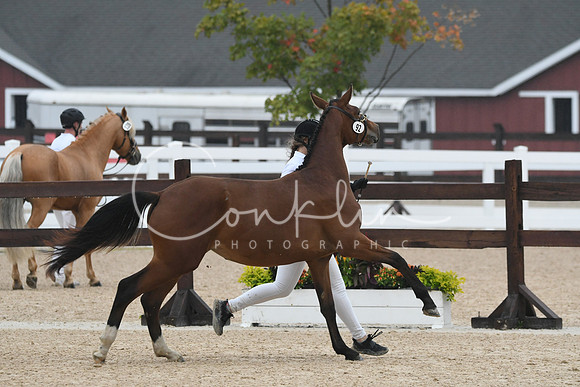 HSM_6556