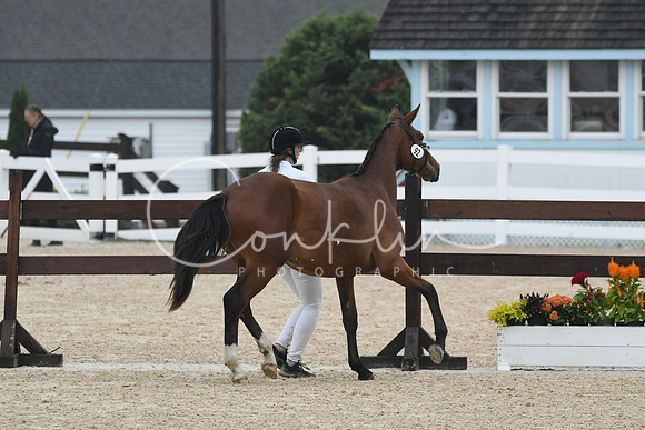 HSM_6558