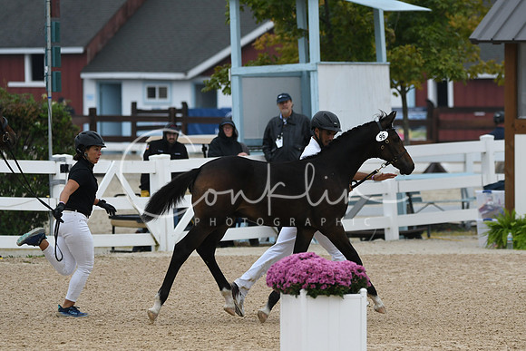 HSM_6637
