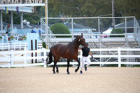 BW183643