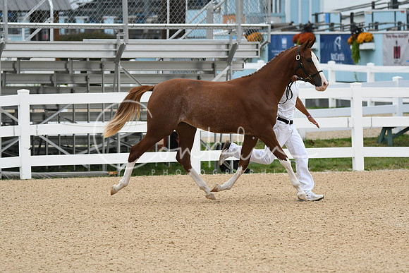 HSM_5770