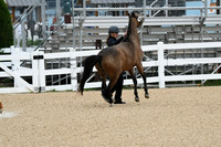 HSM_5782