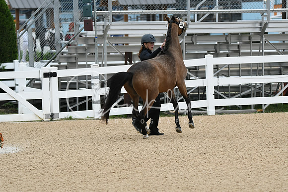 HSM_5782