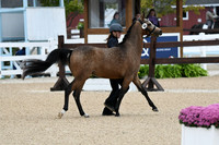 HSM_5785