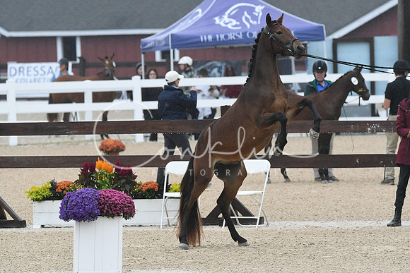 HSM_6107