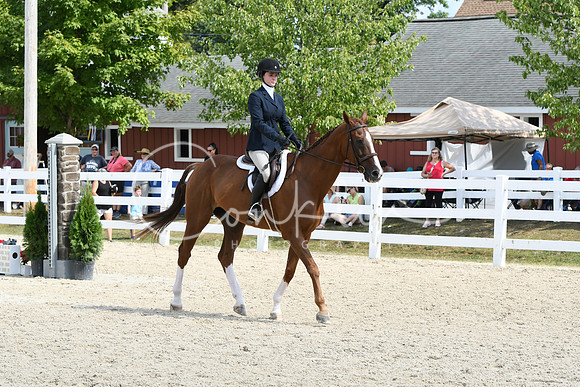 HSM_9328