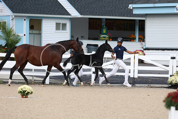 1H5A4822
