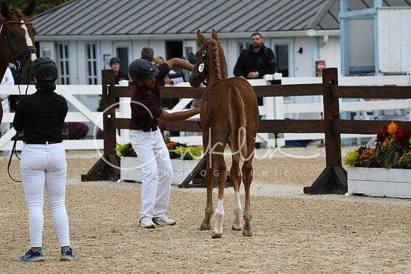 HSM_7715