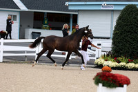 1H5A5338