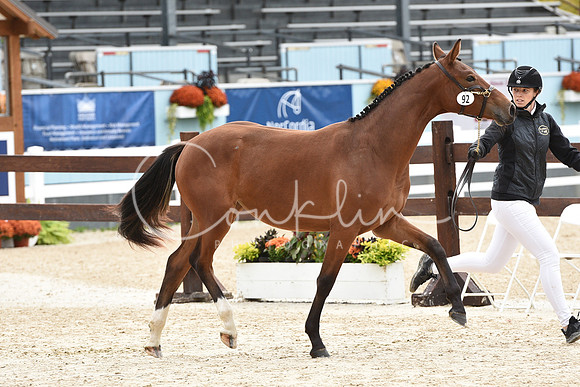 MAK_0524