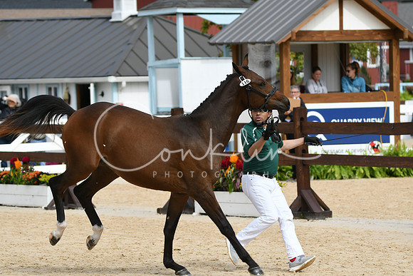 HSM_8362