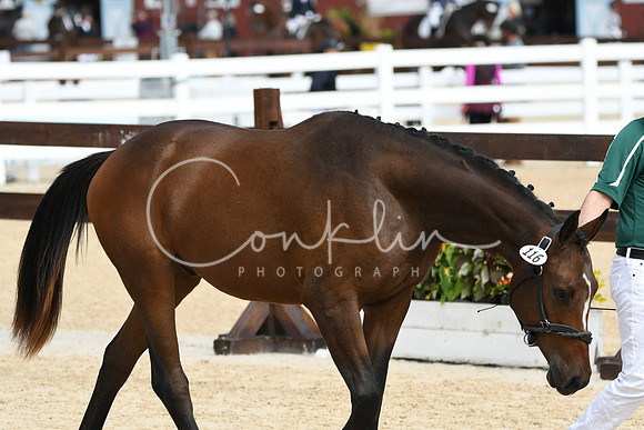 HSM_8365