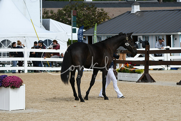 HSM_8241