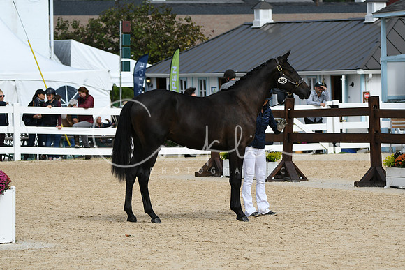 HSM_8244