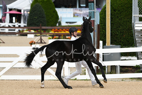HSM_8272