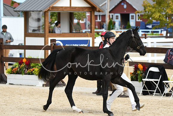 HSM_8276