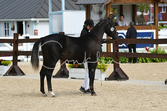 HSM_8321