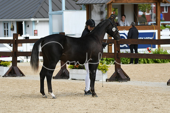 HSM_8322