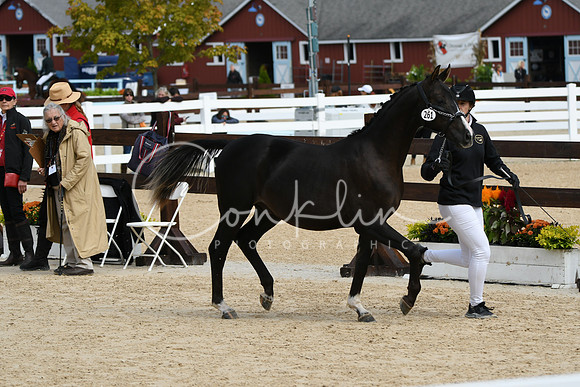 HSM_8337