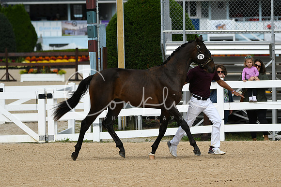 HSM_8297