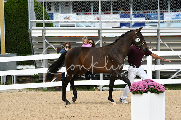 HSM_8298