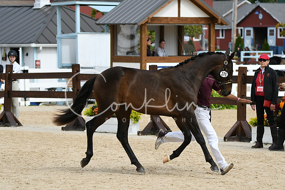 HSM_8304