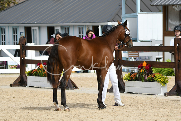 HSM_8190