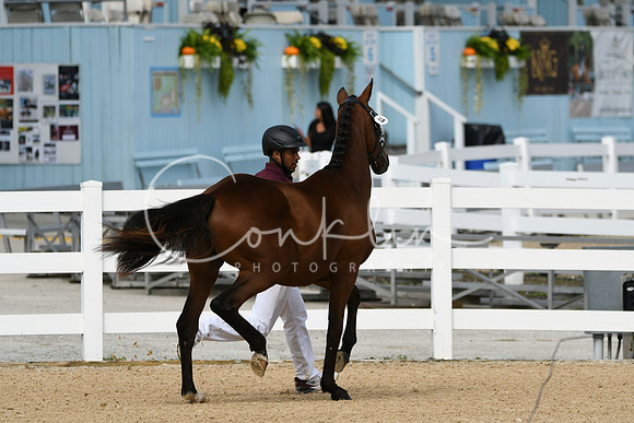 HSM_8199