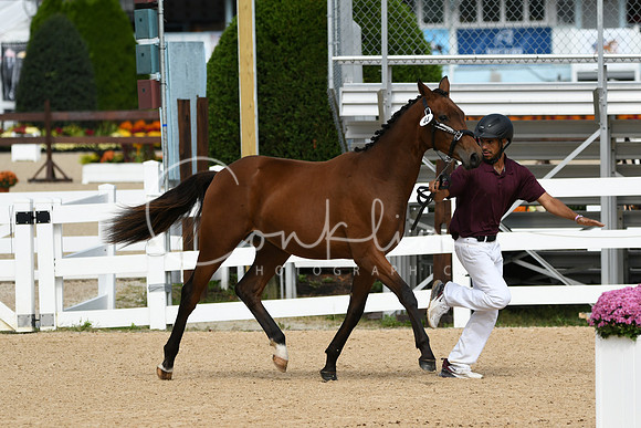 HSM_8201