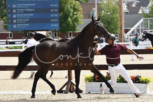 MAK_1134