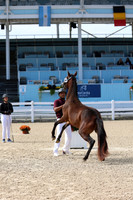 1H5A6344
