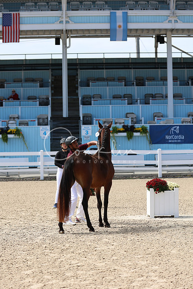 1H5A6346