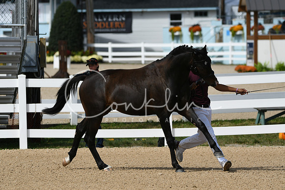 HSM_8832