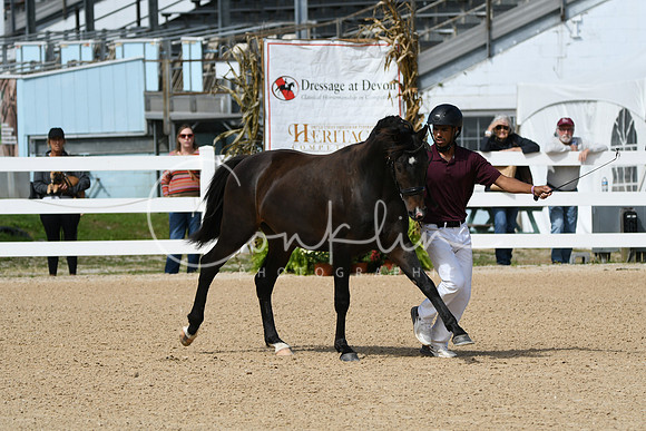 HSM_8833