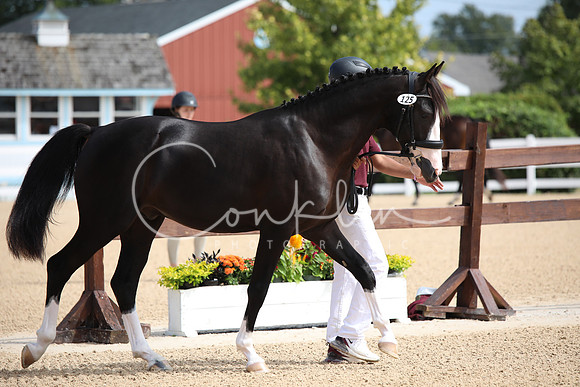 BW186528