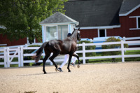 BW186695