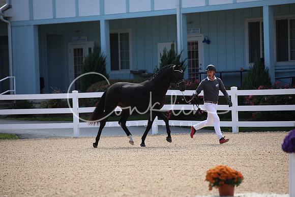 BW186578
