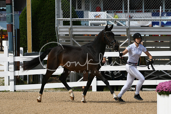 HSM_8847