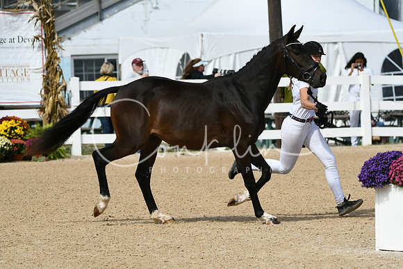 HSM_8851
