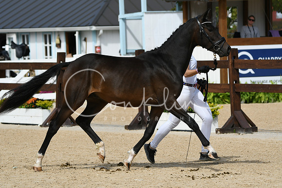 HSM_8852